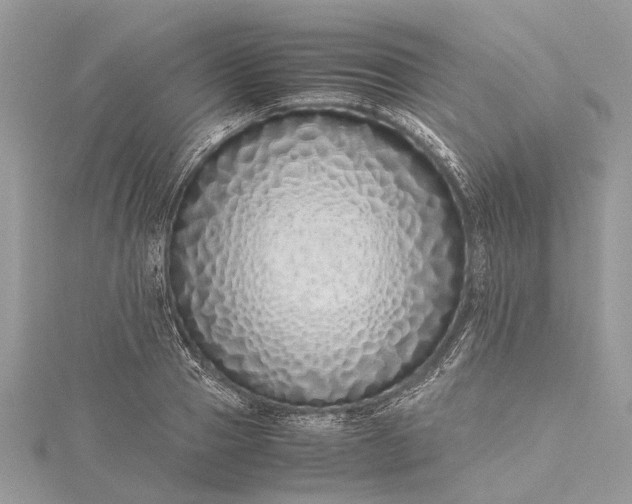 X0000115500937200911201615