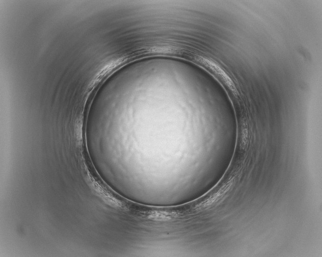 X0000115500938200911201615