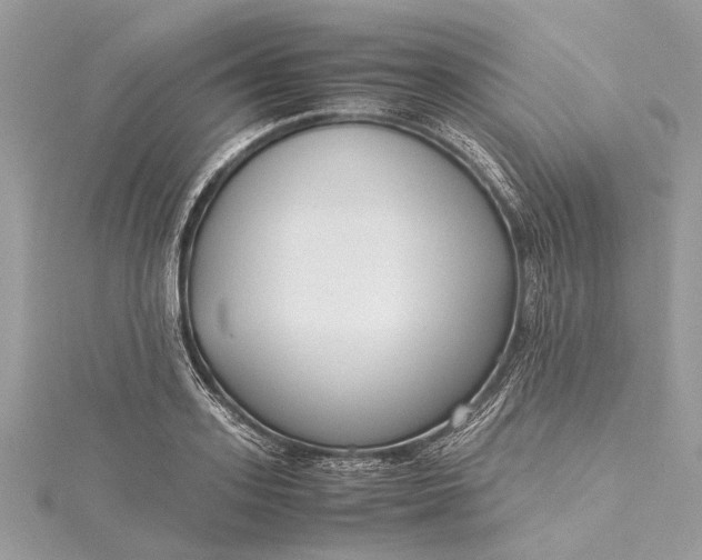 X0000115500939200911201615