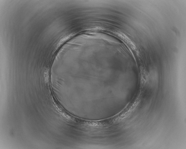 X0000115500945200911201615