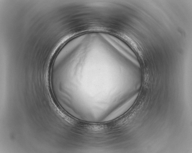 X0000115500947200911201616