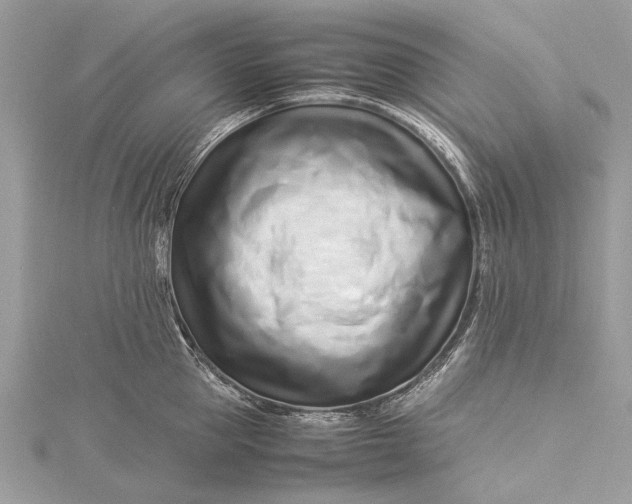 X0000115500953200911201616