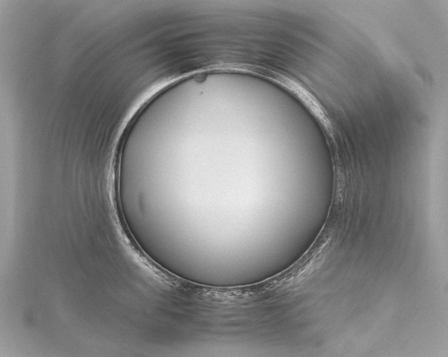 X0000115500955200911201616
