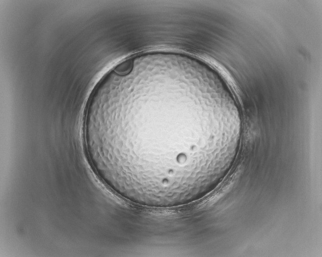 X0000115500957200911201616
