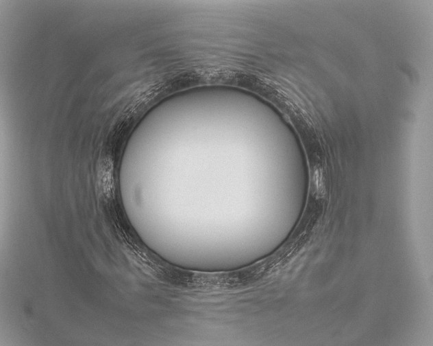 X0000115500963200911201615