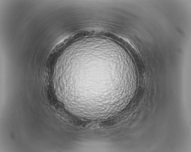 X0000115500967200911201615