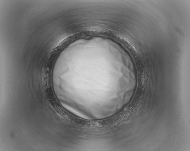 X0000115500968200911201615