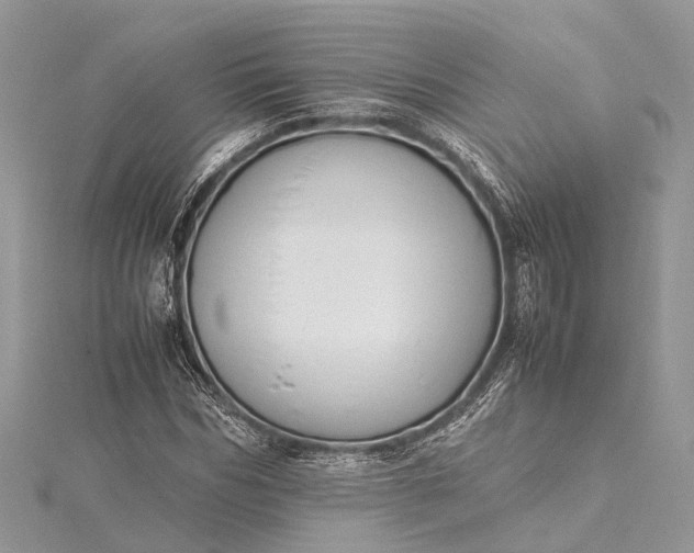X0000115500970200911201615