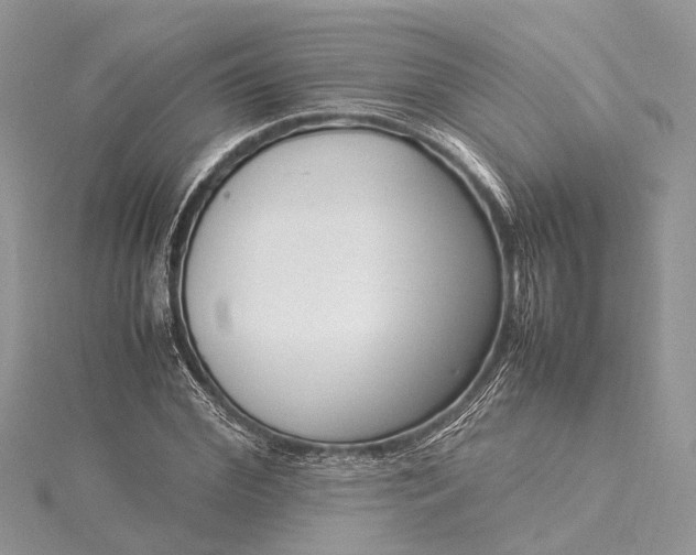X0000115500972200911201615