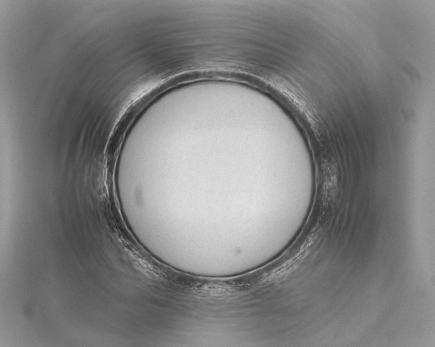 X0000115500974200911201615