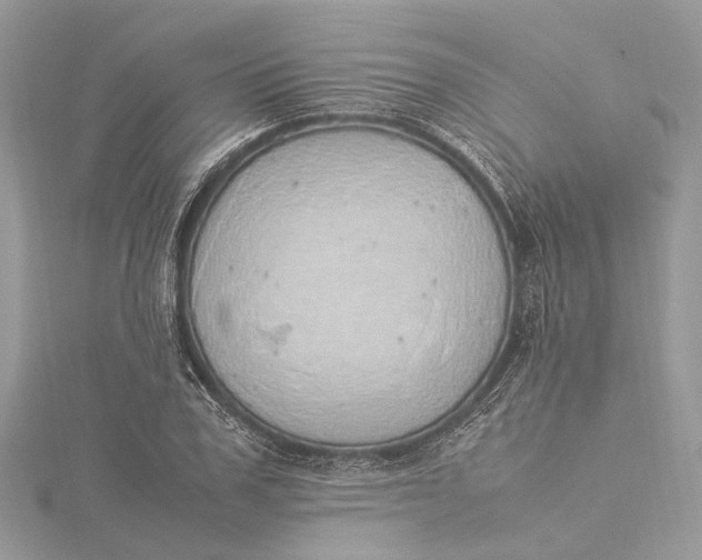 X0000115500979200911201615