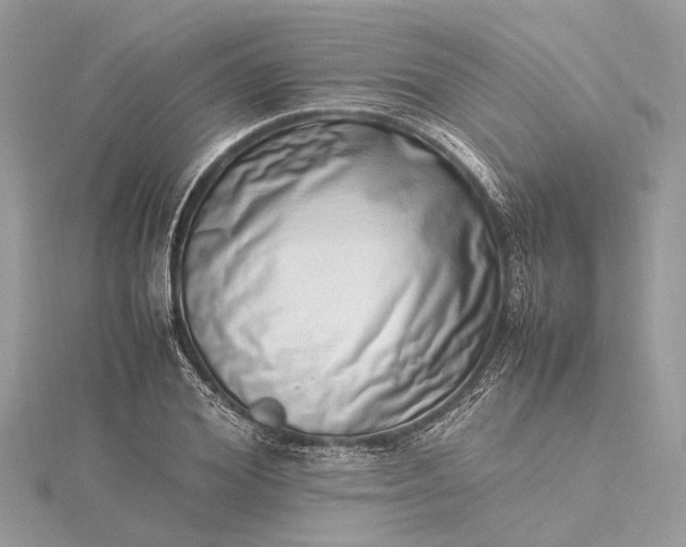 X0000115500980200911201615