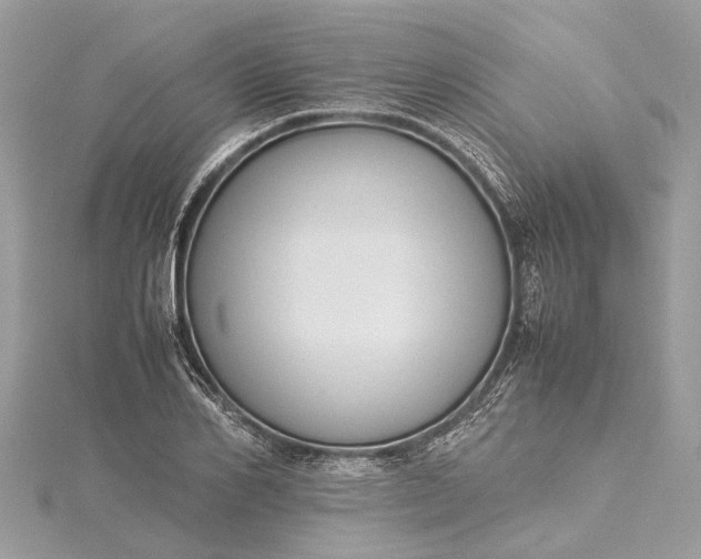 X0000115500982200911201615