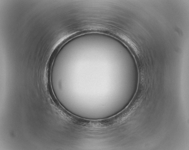 X0000115500983200911201615