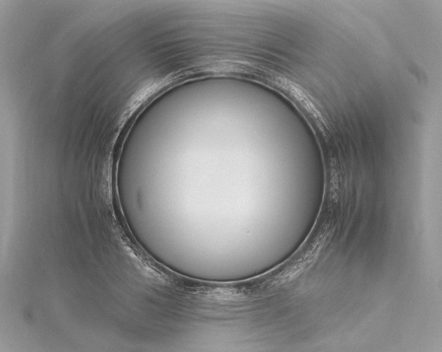X0000115500986200911201615