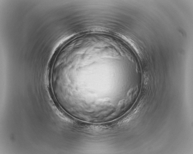 X0000115500987200911201615
