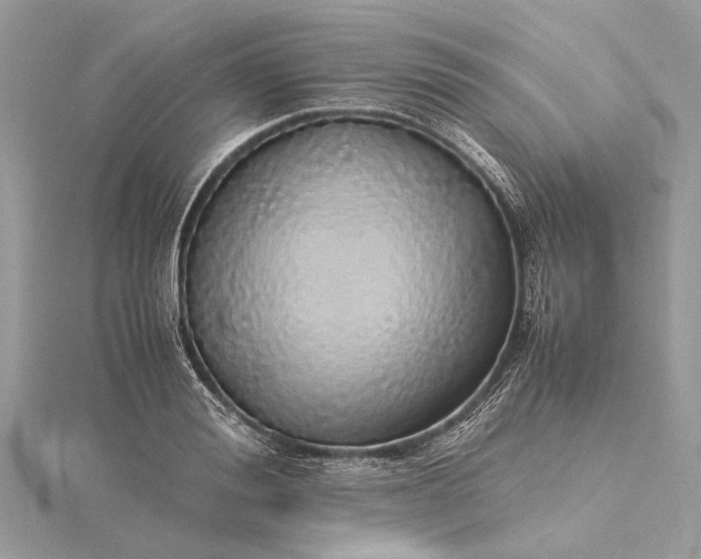 X0000115500988200911201615