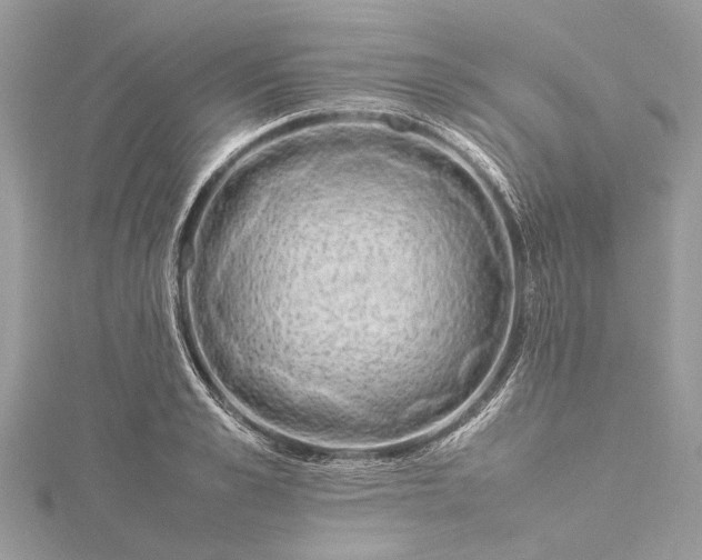 X0000115500989200911201615