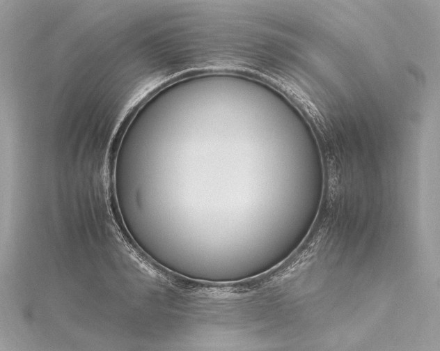 X0000115500990200911201615
