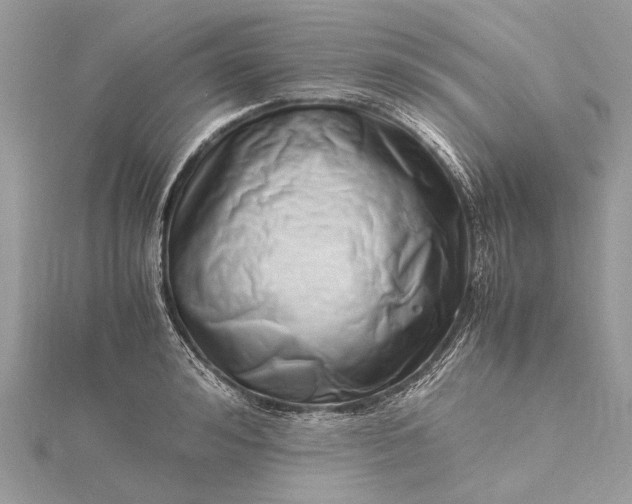 X0000115500992200911201614