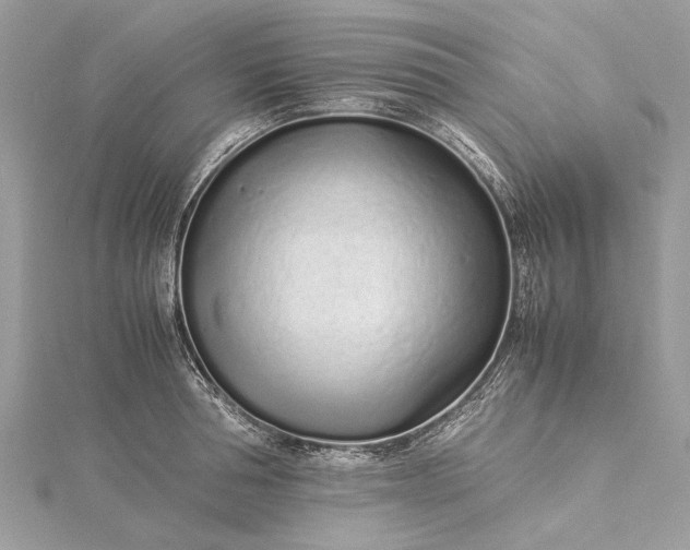 X0000115500994200911201614
