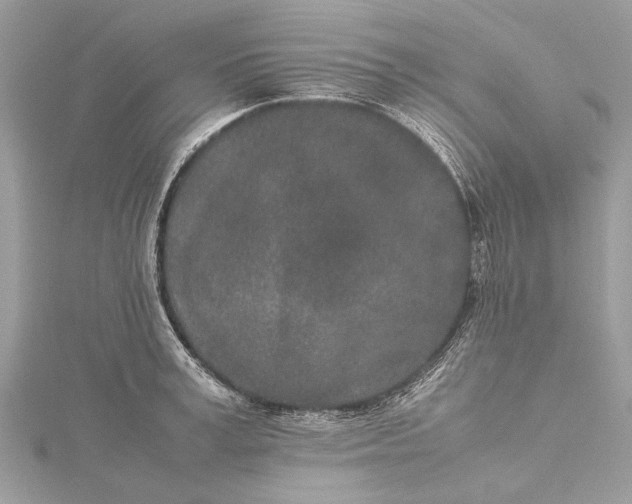 X0000115500995200911201614