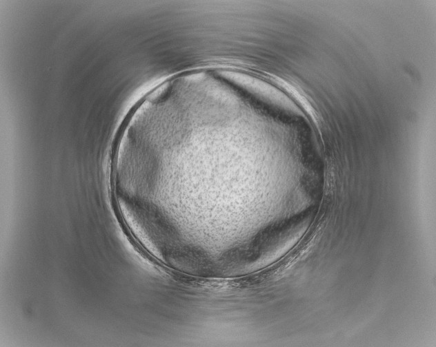 X0000115501003200911201614