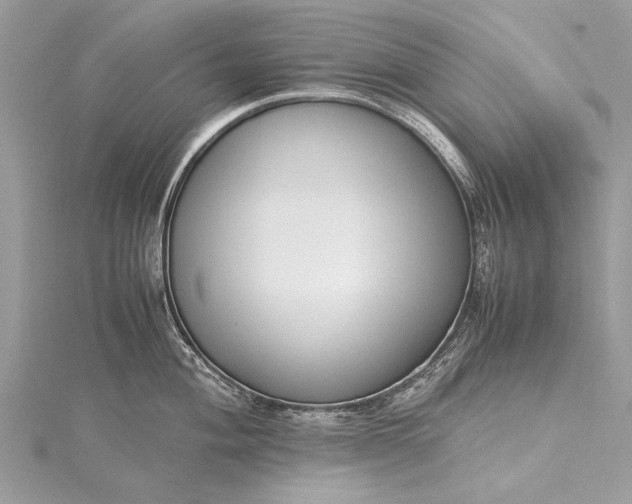 X0000115501004200911201614