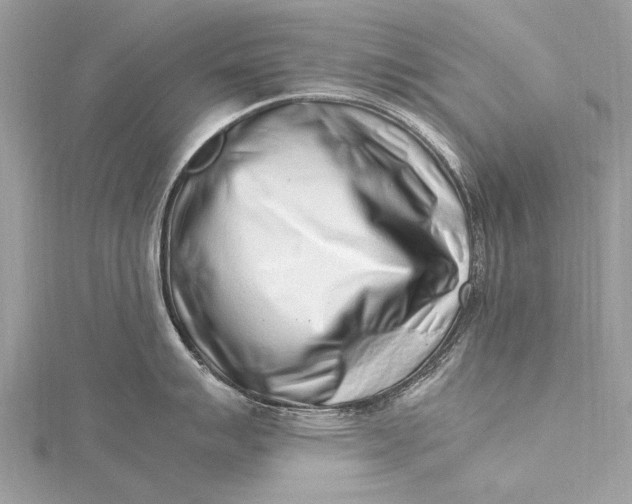 X0000115501007200911201614