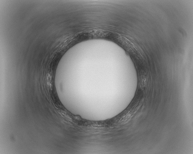 X0000115501010200911201614