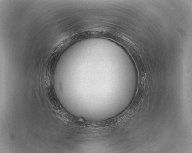 X0000115501014200911201614