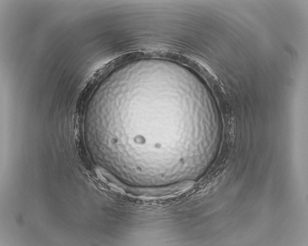 X0000115501016200911201614