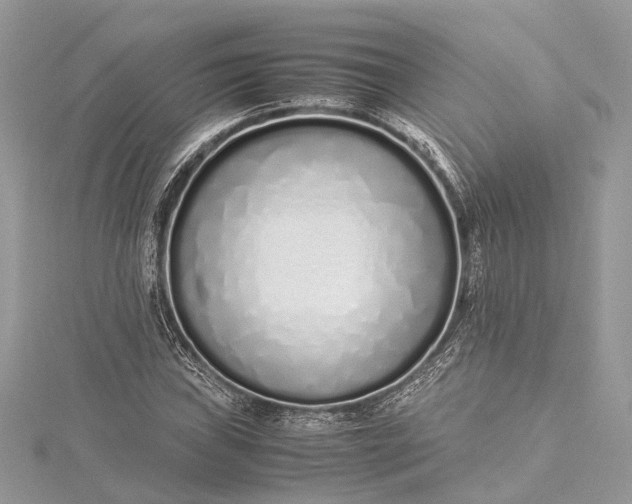 X0000115501019200911201614