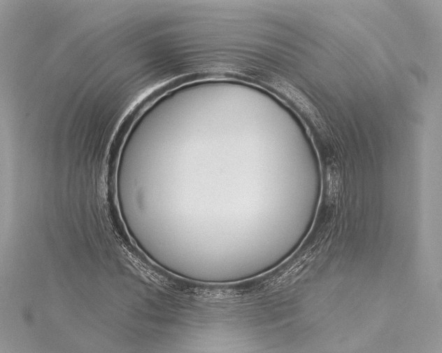 X0000115501020200911201614