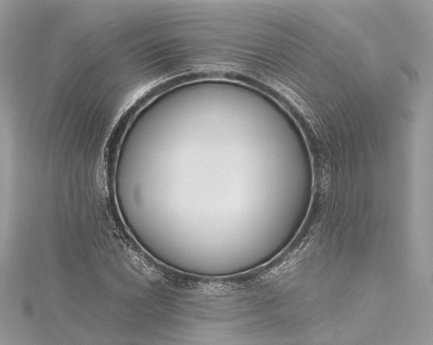 X0000115501022200911201614