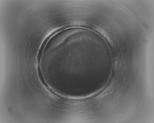 X0000115501024200911201614