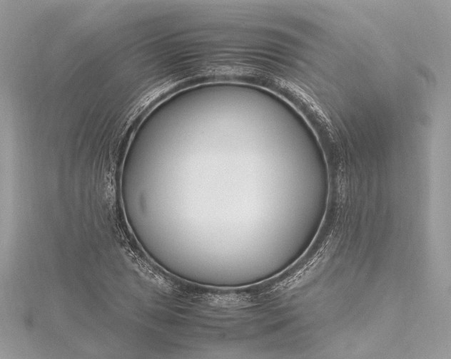 X0000115501025200911201614