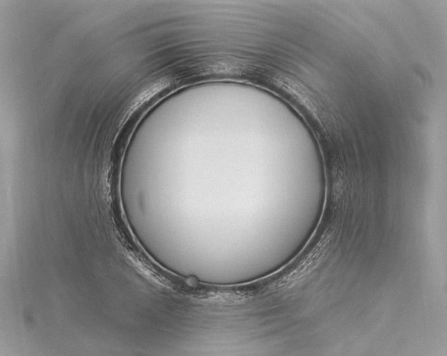 X0000115501026200911201614