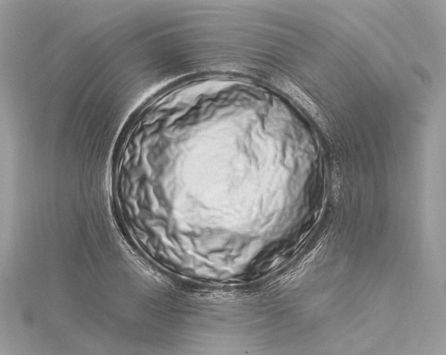 X0000115501028200911201614