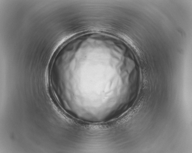 X0000115501032200911201614