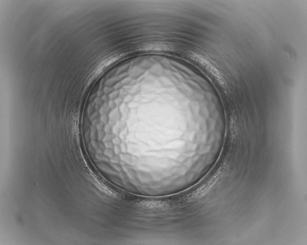 X0000115501033200911201614