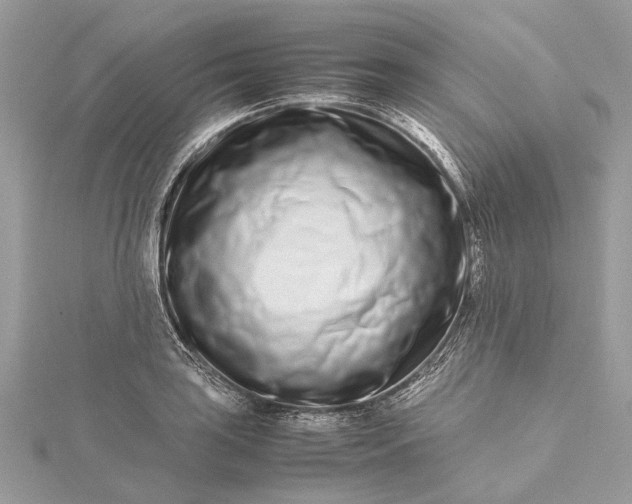 X0000115501035200911201614