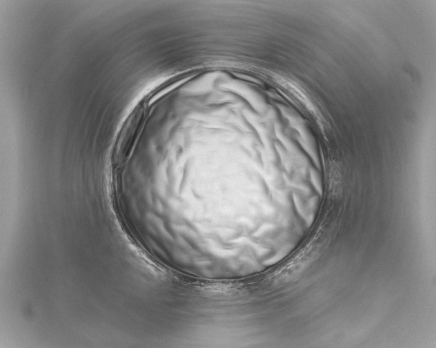 X0000115501048200911201614