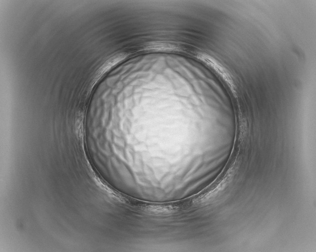 X0000115501049200911201614