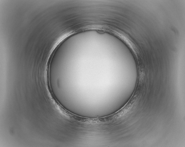 X0000115501050200911201614