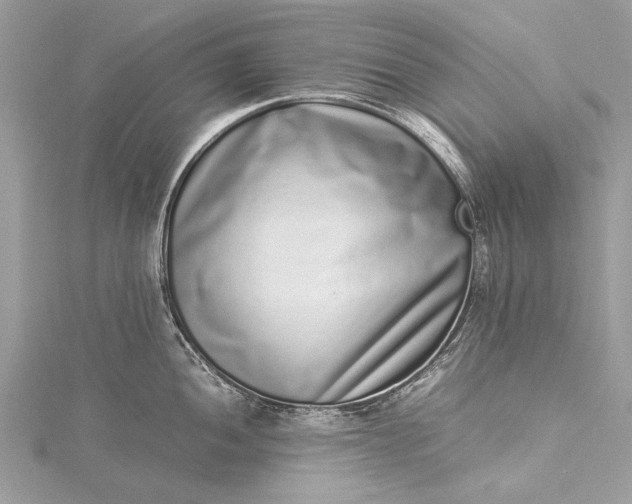 X0000115501052200911201614