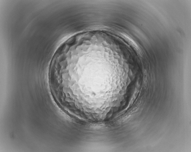 X0000115501055200911201614
