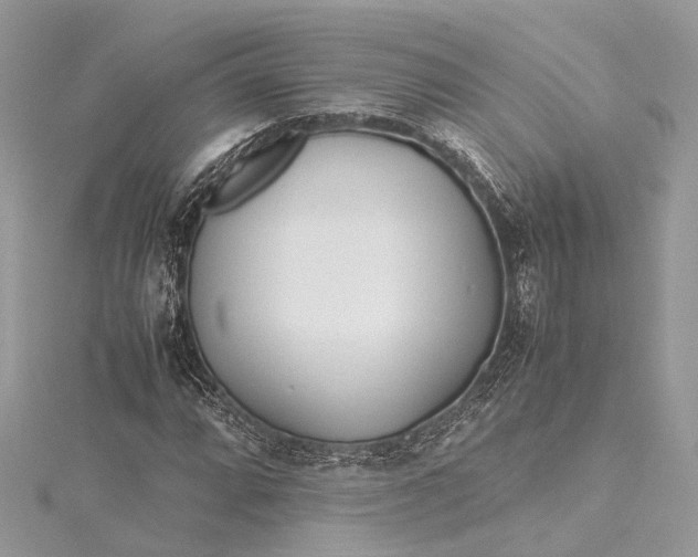 X0000115501064200911201614