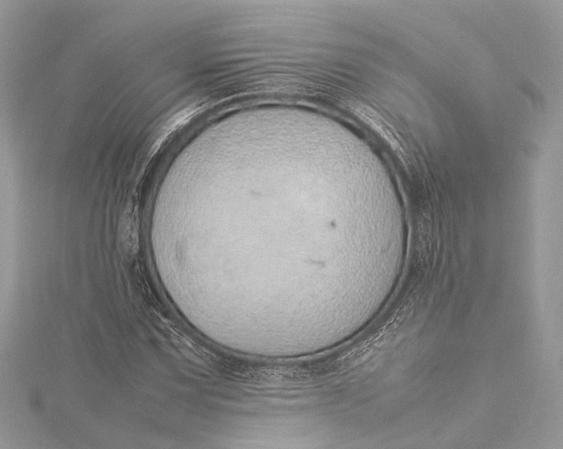 X0000115501067200911201614