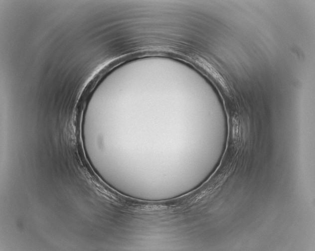 X0000115501068200911201614
